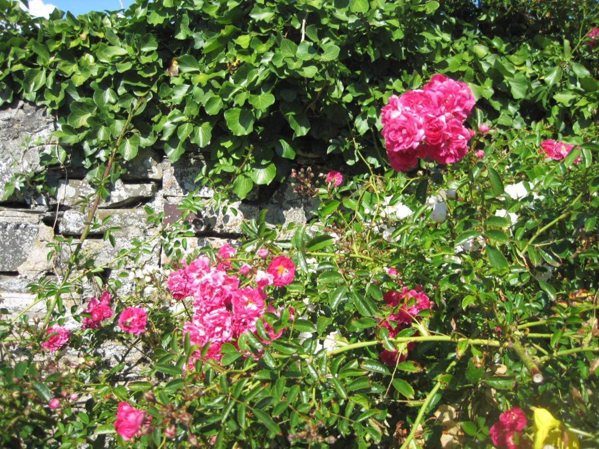 Colebrook Cottage Isle of Whithorn Extérieur photo